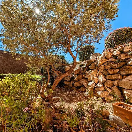 Appartamento Avec Terrasse, Climatisation Et Wifi Collioure