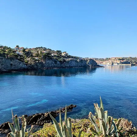 Avec Terrasse, Climatisation Et Wifi *